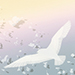 Shigeyuki Ohashi Gallery
